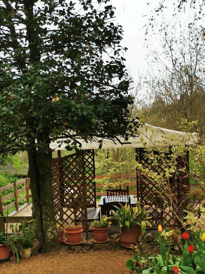 La Quiete Nel Verde Boves Extérieur photo